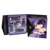 Подарочный набор Geishas secret из 5 предметов - Shunga - купить с доставкой в Муроме