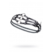 Черный кожаный пояс с кольцами - Pecado - купить с доставкой в Муроме