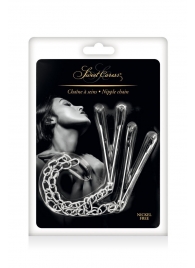Регулируемые зажимы для сосков Sweet Caress Nipple Chain - Sweet Caress - купить с доставкой в Муроме