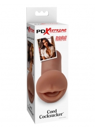 Мастурбатор-ротик Coed Cocksucker - Pipedream - в Муроме купить с доставкой
