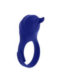 Синее эрекционное виброкольцо с клиторальной подушечкой и пультом ДУ Adjustable Fun Ring - Zero Tolerance - в Муроме купить с доставкой
