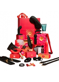 Адвент-календарь Lovehoney Couple’s Advent Calendar 2025 - We-vibe - купить с доставкой в Муроме