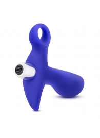 Синий стимулятор простаты с ручкой-кольцом Performance Prostimulator 02 - Blush Novelties - в Муроме купить с доставкой