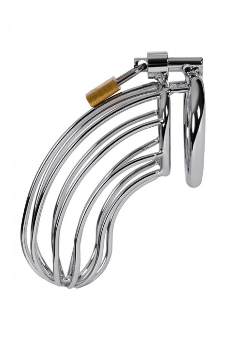 Серебристый пояс верности TOYFA на замочке - ToyFa - купить с доставкой в Муроме