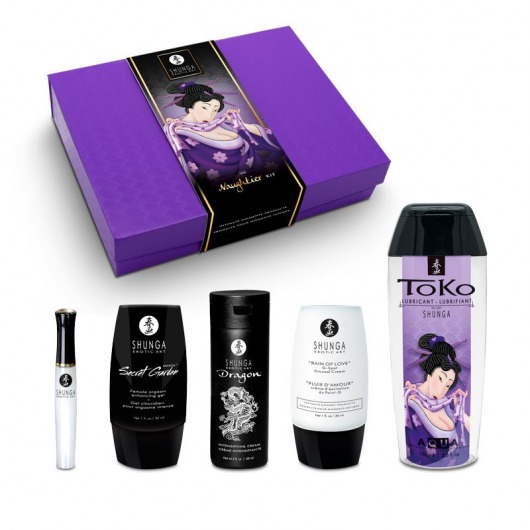 Подарочный набор Naughter Kit - Shunga - купить с доставкой в Муроме
