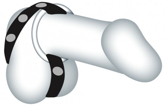 Подхват для мошонки с 3 съемными эрекционными кольцами Leder-Riemen - Orion - в Муроме купить с доставкой