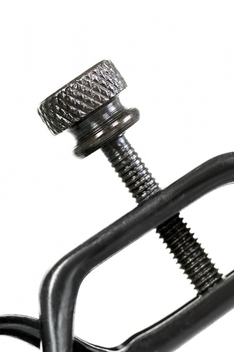 Черно-золотистые зажимы для сосков TOYFA Theatre - ToyFa - купить с доставкой в Муроме