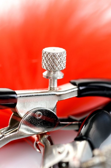 Зажимы для сосков с красным пухом Theatre - ToyFa - купить с доставкой в Муроме