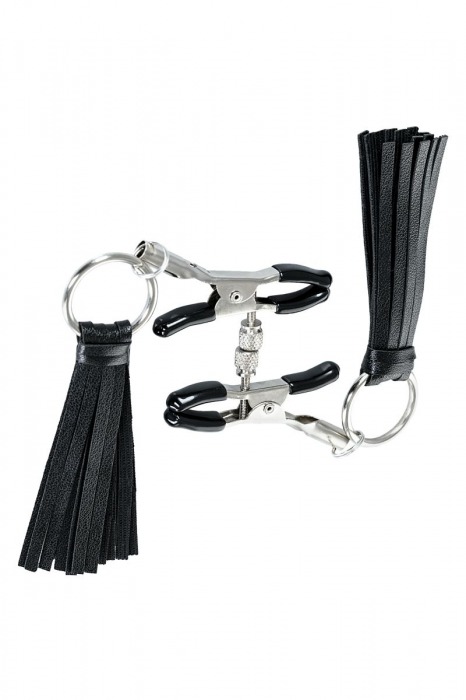 Черно-серебристые зажимы для сосков Theatre с кисточками - ToyFa - купить с доставкой в Муроме