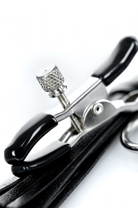 Черно-серебристые зажимы для сосков Theatre с кисточками - ToyFa - купить с доставкой в Муроме